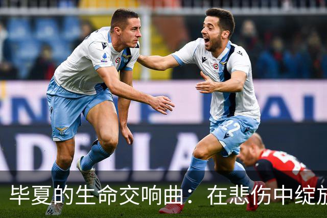 毕夏的生命交响曲：在悲伤中绽放光彩