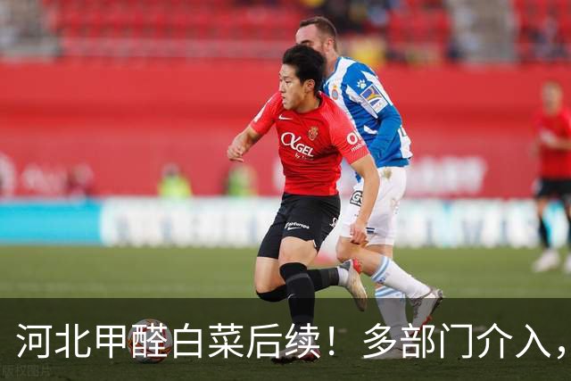 河北甲醛白菜后续！多部门介入，第三车被扣，甲醛成本曝让人意外