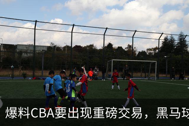 爆料CBA要出现重磅交易，黑马球队碾压辽粤，北京上海也服了