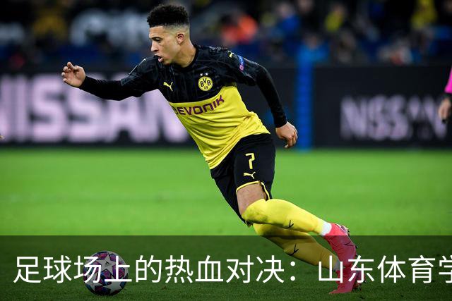 足球场上的热血对决：山东体育学院队夺冠之夜！