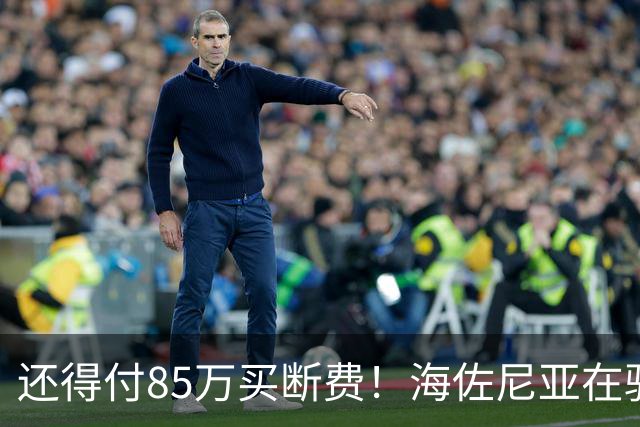 还得付85万买断费！海佐尼亚在骑士年薪280万美元 远不如皇马时期